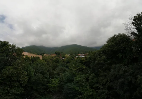 Small Village Woods Cloudy Sky — Stock Photo, Image