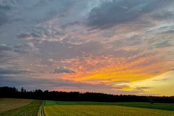 Hermoso Paisaje Rural Con Campos Agrícolas Densos Árboles Verdes Atardecer — Foto de Stock