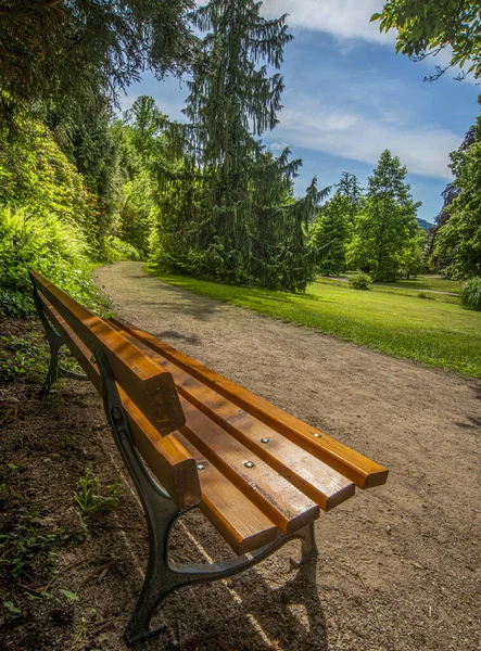 자연에 둘러싸여 공원에서 의자를 수직으로 — 스톡 사진