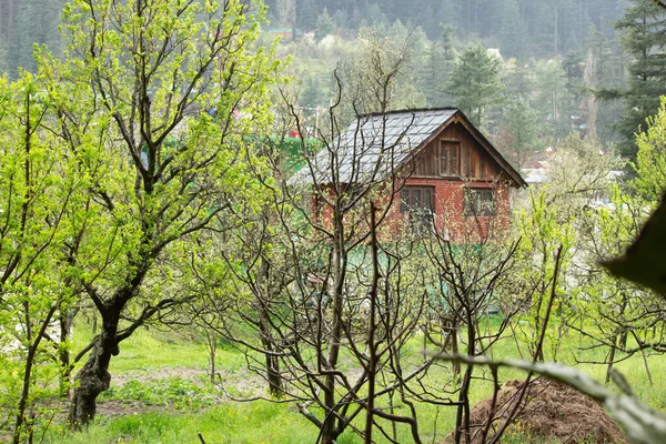 Wiejski Dom Otoczony Drzewami Kasol Himachal Pradesh Indie — Zdjęcie stockowe
