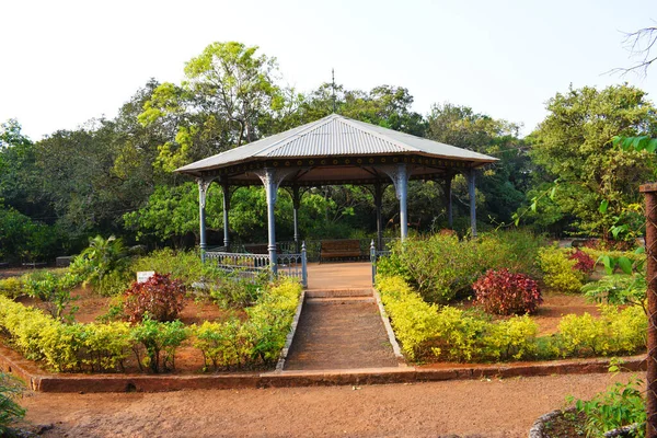 Casa Tienda Hermoso Jardín Alrededor Las Plantas — Foto de Stock