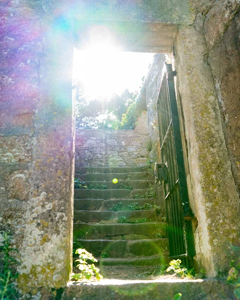 Вид Вход Дверью Которая Поднимается Лестнице Покрытой Мхом — стоковое фото