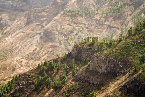 Gomera Ilhas Canárias Espanha — Fotografia de Stock