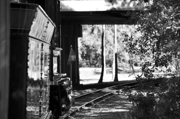 Plano Escala Grises Las Vías Del Ferrocarril —  Fotos de Stock