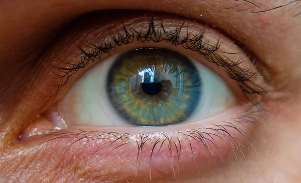 Een Close Shot Van Een Mannetje Links Open Oog Van — Stockfoto