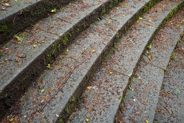 Die Nassen Granitsteinstufen Die Mit Toten Rutschigen Blättern Bedeckt Sind — Stockfoto