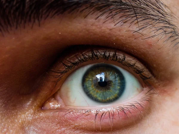 Een Close Shot Van Een Mannelijk Linkeroog Van Groene Kleur — Stockfoto