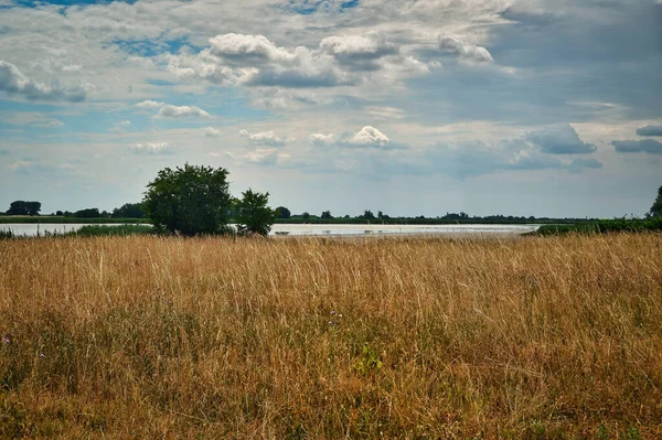 landscape photo of grassland with dry salt lake, bushes and branches in pannonian national reserve park \