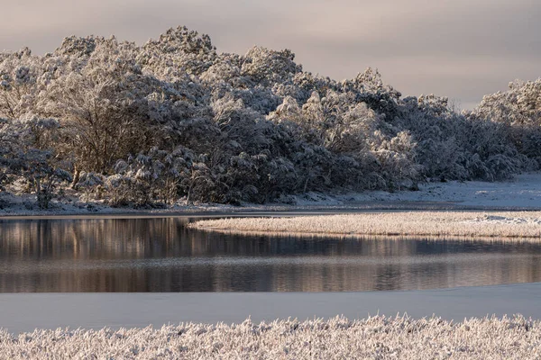 冬季澳大利亚维多利亚州布法罗山上的卡塔尼湖美景 — 图库照片