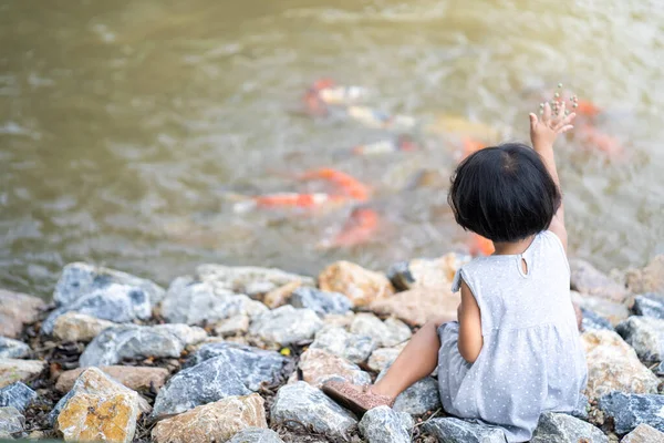 Ein Kleines Mädchen Füttert Bunte Koi Fische Einem Teich — Stockfoto