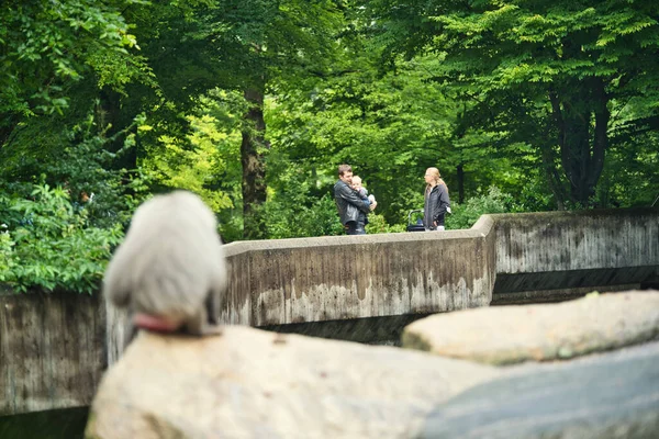 Munich Németország 2021 Július Látogatók Jelenete Müncheni Tierpark Hellabrunn Állatkertben — Stock Fotó