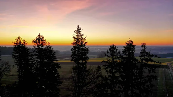 Der Wunderschöne Sonnenuntergang Über Den Flachen Feldern Mit Bäumen Vordergrund — Stockfoto