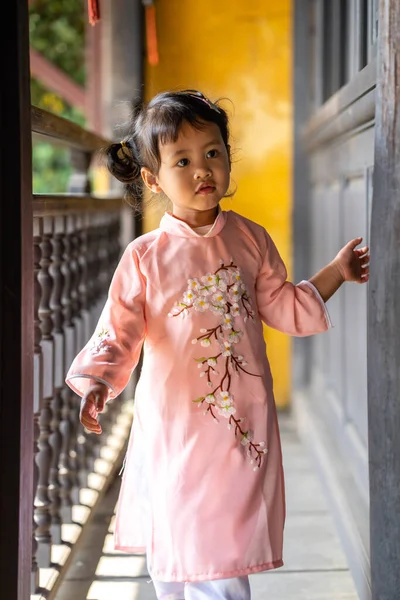 Vertical Shot Cute Vietnamese Little Girl Pink Dai Walking Old — Stock Photo, Image