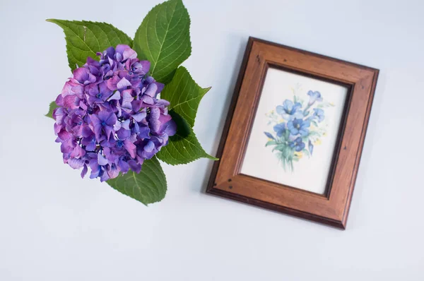 Tiro Vertical Uma Imagem Emoldurada Flores Com Hortênsias Roxas Uma — Fotografia de Stock