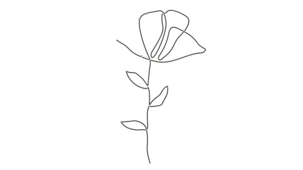 Όμορφο Βοτανικό Φυτό Απομονωμένο Λευκό Φόντο — Αρχείο Βίντεο
