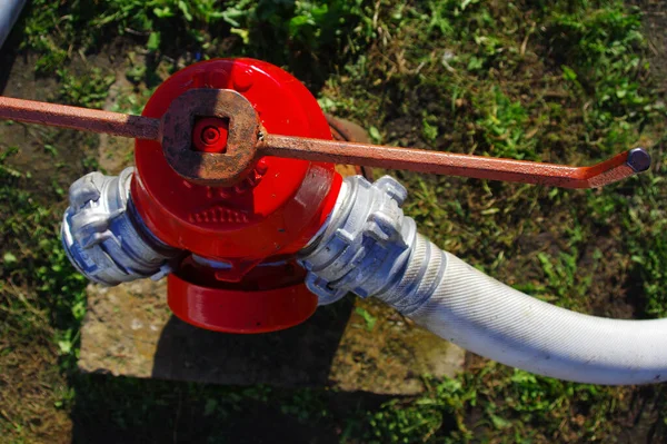 Una Vista Superior Una Boca Incendios Roja Prado —  Fotos de Stock