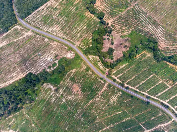 Letecký Pohled Silnici Obklopenou Zemědělskými Poli — Stock fotografie