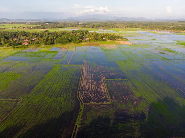 Aerial View Rural Houses Surrounded Agricultural Fields Malaysia — Stock Photo, Image