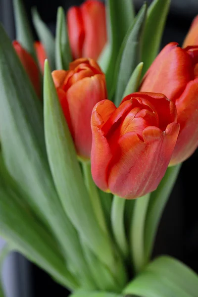 Gros Plan Bouquet Tulipes Rouges Tir Vertical Objet Sélectionné — Photo