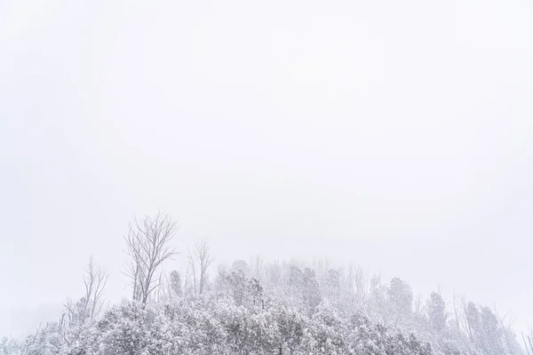 Uma Bela Paisagem Monte Hotham Victoria Austrália — Fotografia de Stock