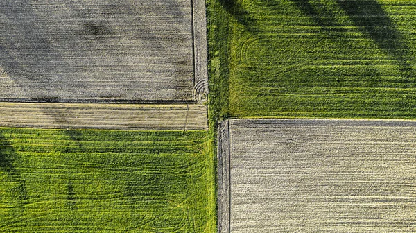 Aerial View Plowed Agricultural Field Green Gray Colored Land — Stock Photo, Image