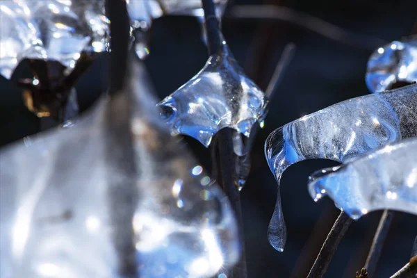 Krásné Detailní Záběry Zmrzlých Kousků Vody Větvích Estetické Kousky Ledu — Stock fotografie
