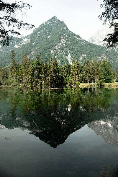 Een Verticaal Schot Van Rotsachtige Bergen Bedekt Met Groen Reflecterend — Stockfoto