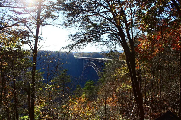 New River Gorge Bridge Omgiven Träd Och Buskar Fayette County — Stockfoto