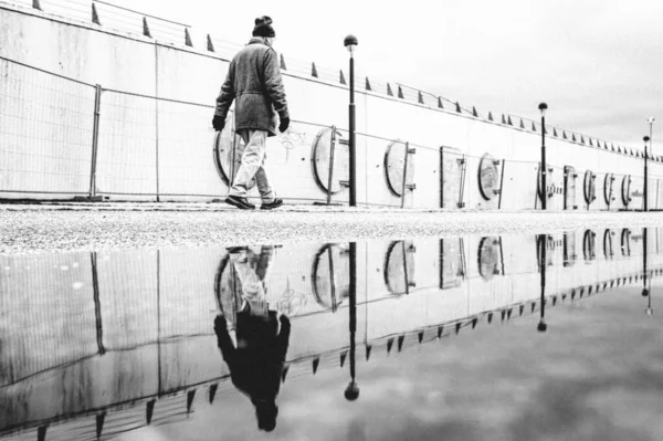 Grayscale Shot Walking Elderly Male Reflection Pond — Stock Photo, Image