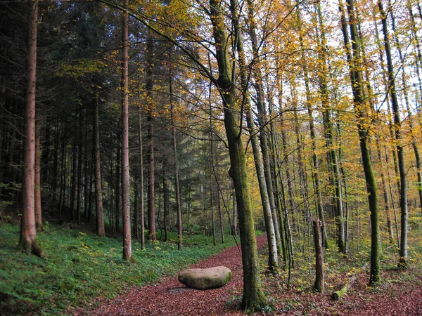 Uma Trilha Vermelha Com Uma Pedra Centro Dela Cercada Por — Fotografia de Stock