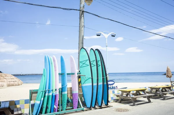 Las Tablas Surf Con Océano Fondo — Foto de Stock