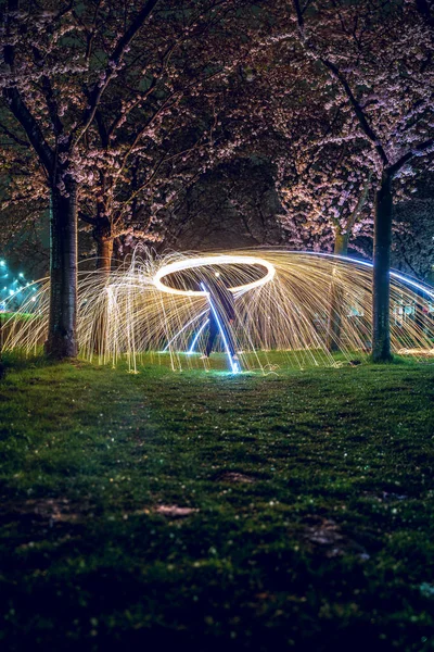 桜の街が咲き乱れるシティパーク内の花火の垂直ショット — ストック写真