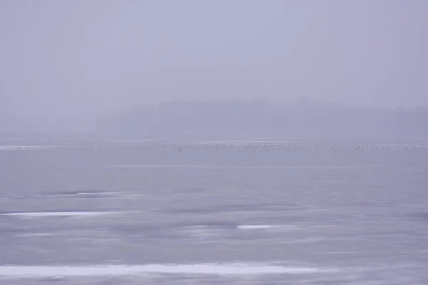 Ein Nebelumhülltes Meer Und Eine Grüne Insel Der Ferne — Stockfoto
