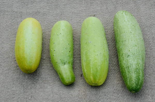 Tiro Foco Seletivo Quatro Pepinos Maduros Uma Superfície Cinza — Fotografia de Stock