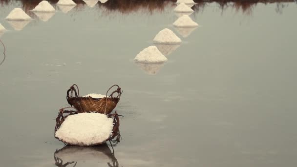 Красивий Знімок Жінки Капелюсі Білою Парасолькою — стокове відео