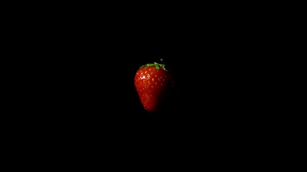 Fraise Sur Fond Noir — Video