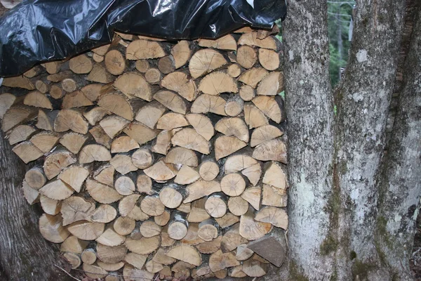 Pile Cut Firewood Black Polyethylene Cover Next Trees — Stock Photo, Image