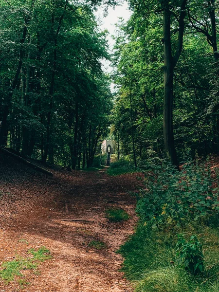 Vertikal Bild Stig Skog — Stockfoto