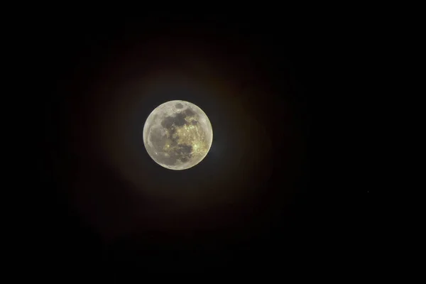 배경에 보름달을 — 스톡 사진