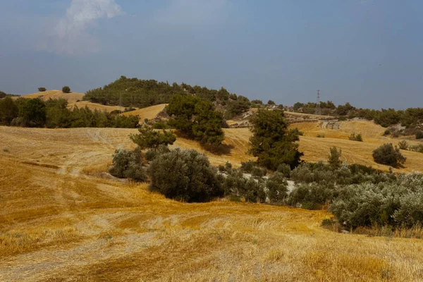 土耳其Kayadibi棕色丘陵地带的树木景观 — 图库照片