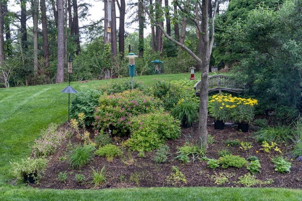 Sebuah Gambar Close Taman Dengan Bunga Mekar Dan Berbagai Pohon — Stok Foto