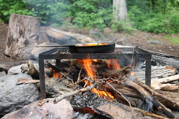 Ένα Τηγάνι Τηγανητό Φαγητό Στη Φωτιά Στο Δάσος — Φωτογραφία Αρχείου