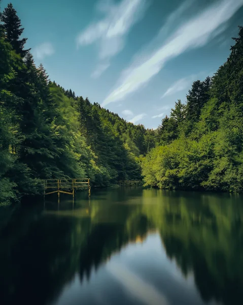 Tiro Vertical Lago Refletor Com Densa Floresta Verde — Fotografia de Stock