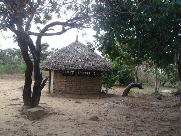 Une Petite Cabane Foin Entourée Arbres Venezuela — Photo