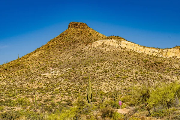 Image Shows Desert Mountain Senior Woman Hiker Pink Shirt Contrasting — Stock Photo, Image