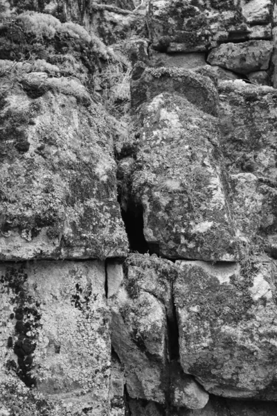 Tiro Tons Cinza Pedras Cobertas Musgo Natureza — Fotografia de Stock