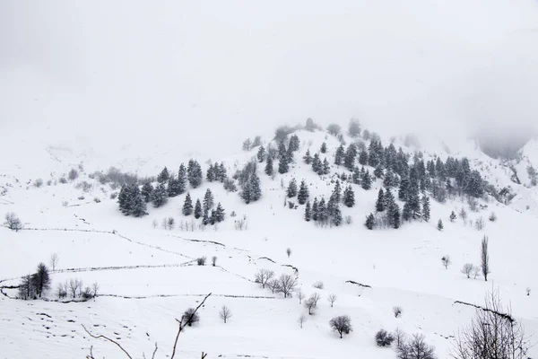 Una Vista Aérea Bosque Con Pinos Invierno Montañas Nevadas Gudauri —  Fotos de Stock