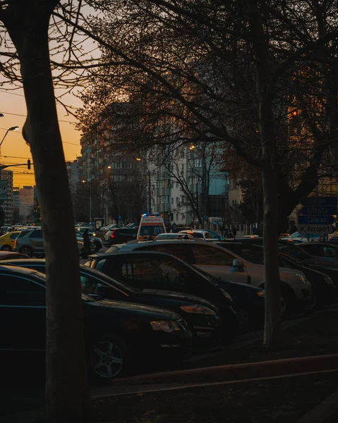 夕阳西下时 在居民楼和树木附近的街道上的汽车垂直镜头 — 图库照片
