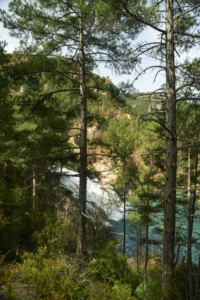 Vertical Shot Raging Waterfalls Seen Pine Trees Forest — Stock Photo, Image