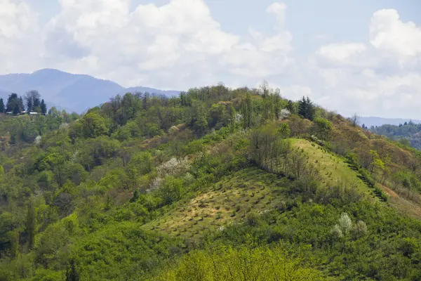 Sebuah Desa Pegunungan Indah Samegrelo Georgia — Stok Foto